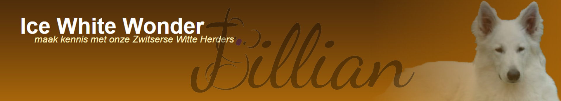 website header